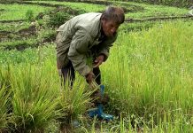 Farmers return to fields as irrigation channel restored in Sergithang Toed Chiwog, Tsirang
